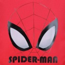 Kuprinė Spiderman 28 cm