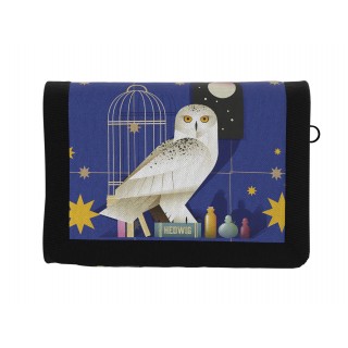 Komplektas: piniginė Harry Potter+pakabukas 22*12 cm