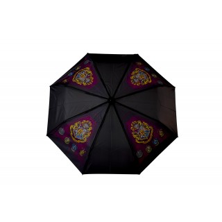 Lietsargis Harry Potter sulanstomas 23*5 cm